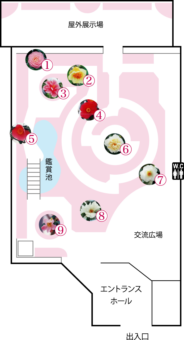 世界の椿館・碁石　館内見取り図